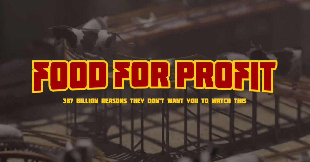 Documentary - Food for Profit Documentary - Food for Profit