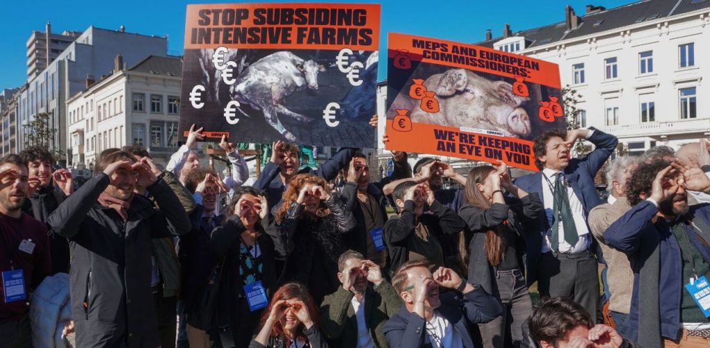 The Flash Mob at the European Parliament for the Anniversary