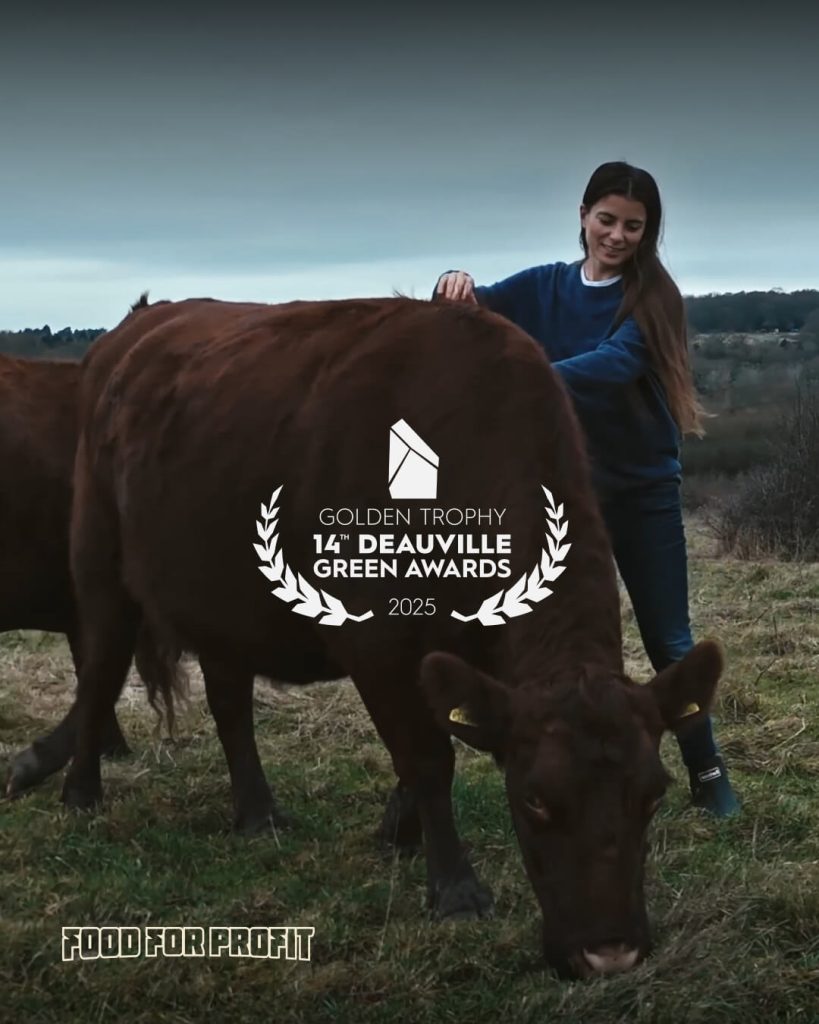 Award at the Deauville Green Awards