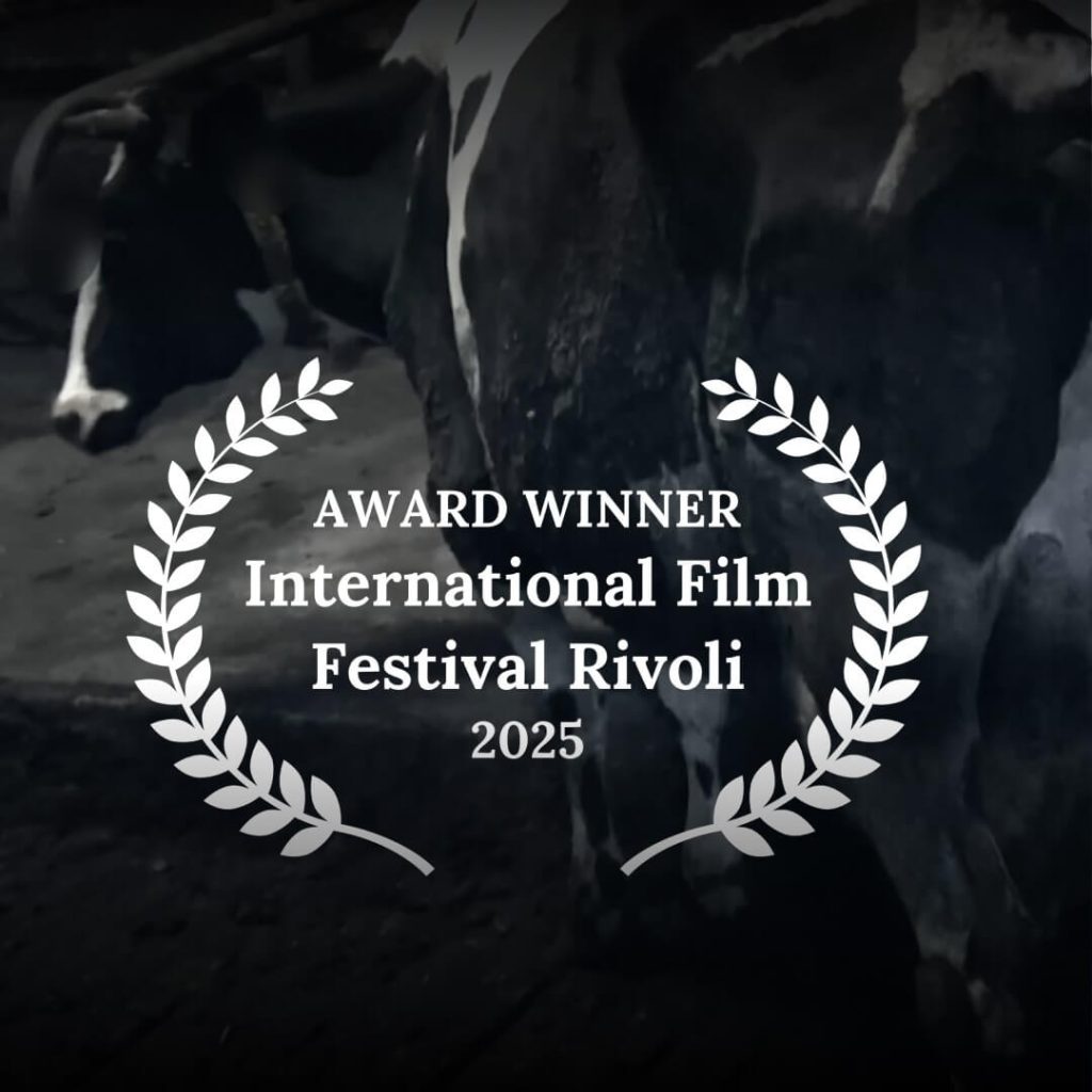 Special Jury Award at the Rivoli International Film Festival